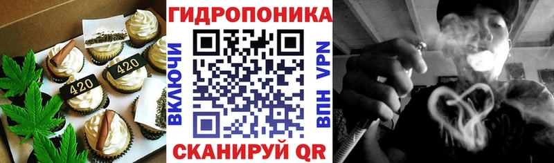 Canna-Cookies конопля  Донской 