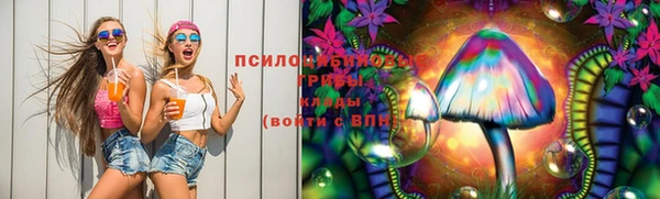 ГАЛЛЮЦИНОГЕННЫЕ ГРИБЫ Богородск
