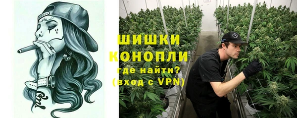 ГАЛЛЮЦИНОГЕННЫЕ ГРИБЫ Богородск