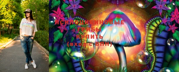 ГАЛЛЮЦИНОГЕННЫЕ ГРИБЫ Богородск