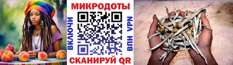 mega как зайти  где найти наркотики  Донской  Псилоцибиновые грибы прущие грибы 