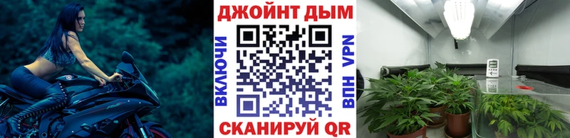 где найти наркотики  omg ONION  Канабис план  Донской 